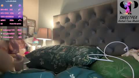 short sweetpea online show from January 13, 9:24 am