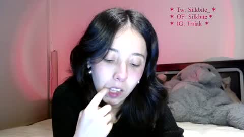 silkbite online show from June 16, 4:02 am