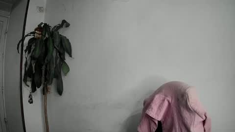 Snapshot of silviecollins chatting on February 12, 12:27 am Silvie online show from February 12, 12:27 am