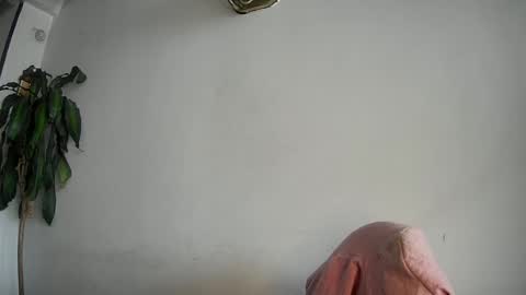 Snapshot of silviecollins chatting on February 15, 7:50 pm Silvie online show from February 15, 7:50 pm