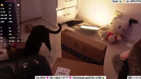 Sofi online show from December 17, 10:47 pm