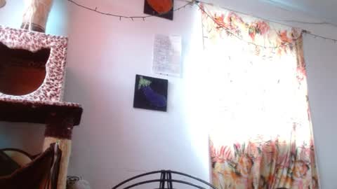 Sofia online show from January 6, 12:09 pm