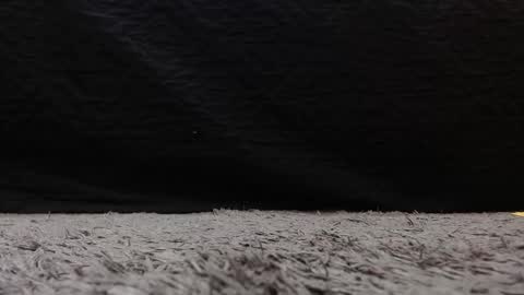 Stefany Brown online show from March 21, 11:26 am