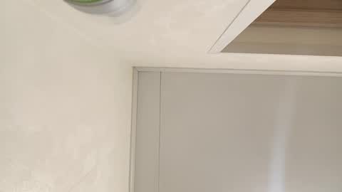 Samanta online show from February 14, 10:17 am