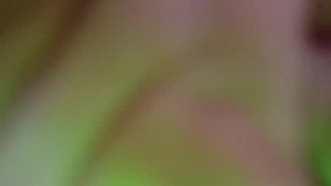 Kara - Im online from monday to saturday at 6AM  GM-5 online show from December 22, 12:08 pm