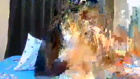 sweetDee online show from December 19, 8:39 am