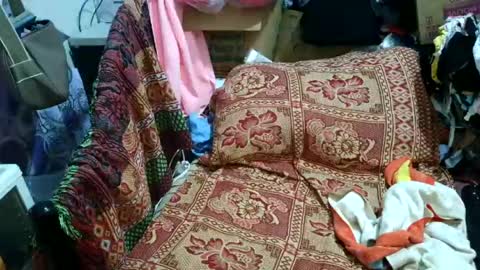 sweetmature_69 online show from July 28, 6:53 pm