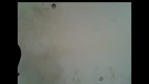 LILY BRANDY online show from July 16, 10:42 am