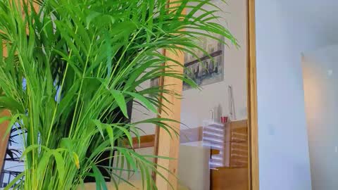 t33enshy_girl online show from September 27, 11:06 am