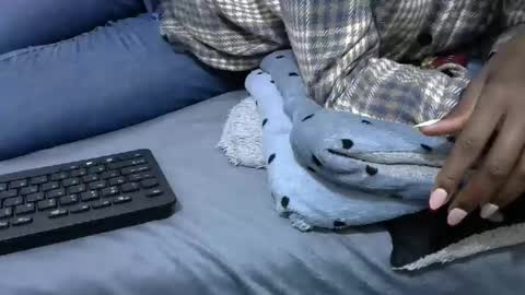 Tray online show from November 15, 7:37 pm