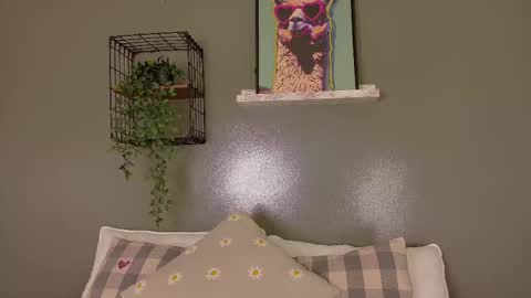 TAYLOR  online show from November 22, 12:08 pm