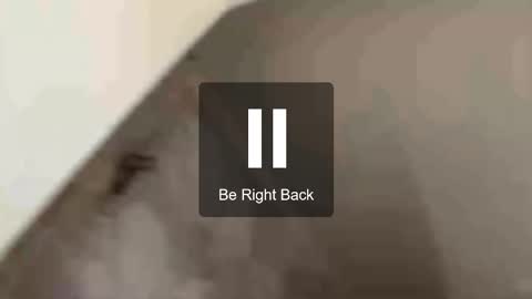 Mary online show from November 2, 9:23 am