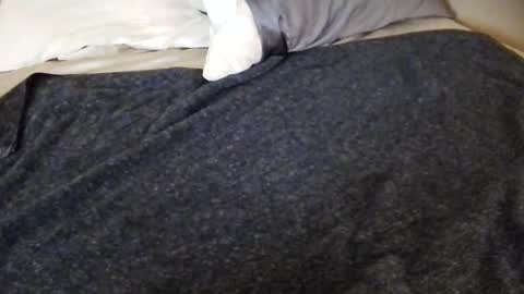 tinywithtiddies online show from April 25, 4:04 am