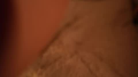 Snapshot of tollysage chatting on October 19, 12:56 am Sage. TG channel online show from October 19, 12:56 am