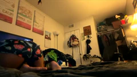 toomuchuniverse online show from February 18, 6:07 pm