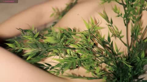 Toshi online show from December 21, 1:04 pm