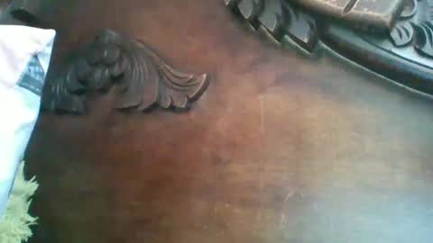 triana_bell online show from February 16, 4:32 pm