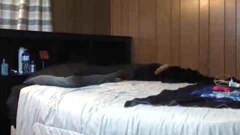 trublu2018 online show from February 15, 1:08 am