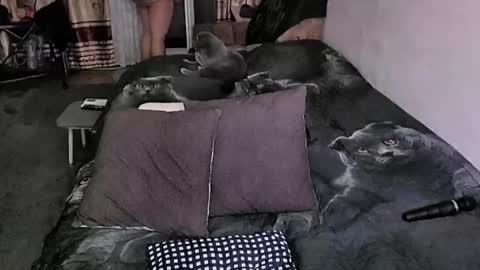 Lana online show from March 2, 10:15 pm