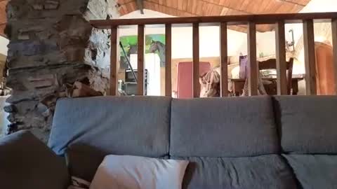 vampwoman online show from September 22, 7:07 am