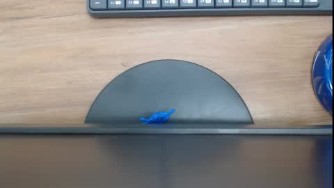 Venus Cortez  online show from September 20, 6:50 pm