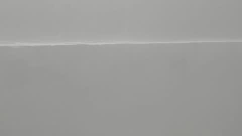 Violet Rose online show from February 3, 7:51 pm