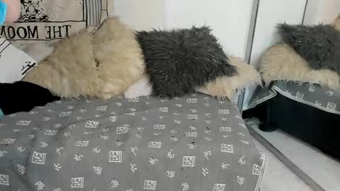 Vit a Viper online show from October 18, 10:55 pm