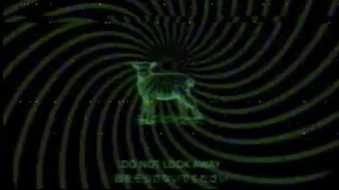 vortexspecter online show from February 11, 7:59 pm