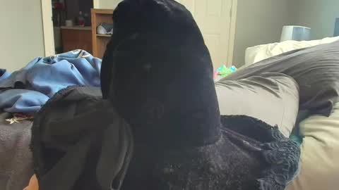 witchbitchmommy online show from March 16, 3:38 pm