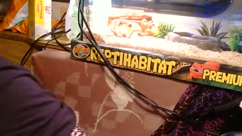 x2kayx2 online show from January 19, 6:09 am