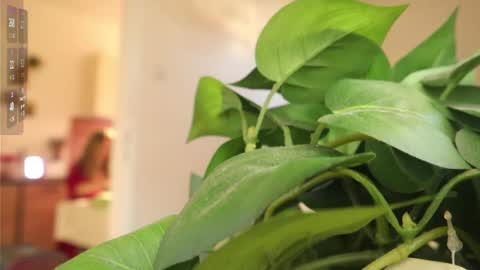 Snapshot of xxxoka chatting on March 6, 2:08 pm Xxxoka online show from March 6, 2:08 pm