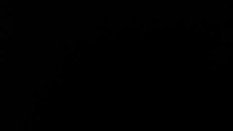 SALMAHOTCAM online show from February 8, 12:42 pm