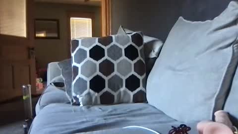 yournewbigmama online show from March 1, 6:11 pm