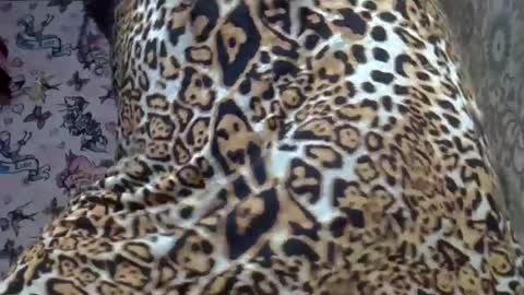 zarinamarlin online show from July 18, 3:58 pm