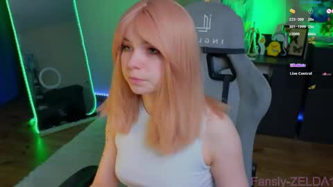 Zelda online show from May 29, 11:52 am