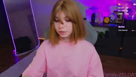 Zelda online show from May 7, 1:37 pm