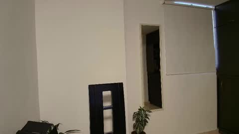 Zhara online show from December 1, 11:25 am