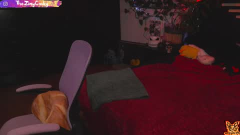 Ziny Cosky online show from June 6, 4:08 am