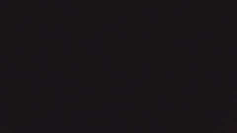 ZURY   online show from October 22, 11:26 am