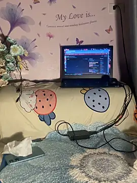 Hoa Bimup online show from February 17, 11:48 pm