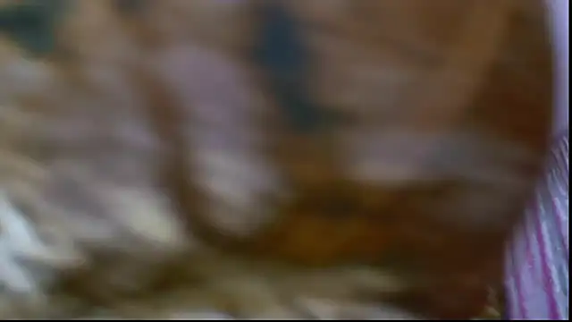 SQUIRT4UMEGAN online show from February 24, 4:11 am