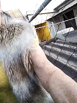 lindaledi2 online show from April 4, 3:44 pm