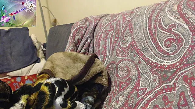 martachatte online show from November 4, 6:46 pm