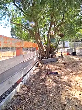 Pussy69Kat online show from February 15, 11:48 pm