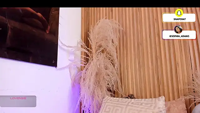 sofhiaa adaams online show from February 14, 11:07 pm