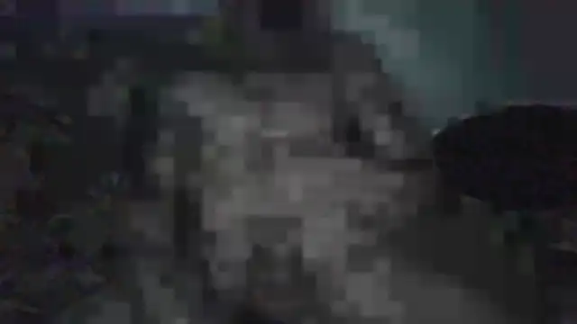 vinzz49 online show from December 21, 3:55 am