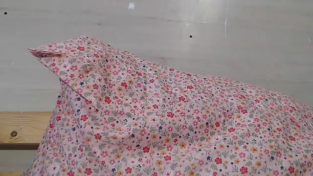 ANNA38 online show from February 26, 3:33 pm