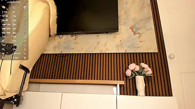 sally 009 online show from January 7, 3:43 am