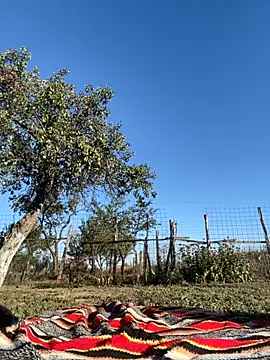 MikyVesela online show from September 23, 2:37 pm