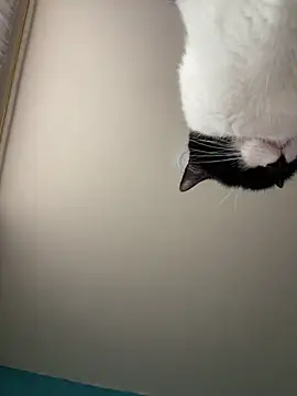 Kimmymadison- online show from January 15, 9:10 pm